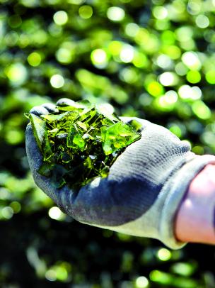 A person with a grey glove is holding green glass waste