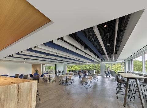 Large windows in this open office space showcase the green trees outside